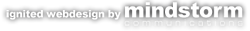 Charlotte Branding, Marketing and Creative Agency - Mindstorm Communications Group, Inc.